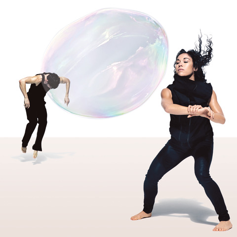 Shaun Parker & Co 2020